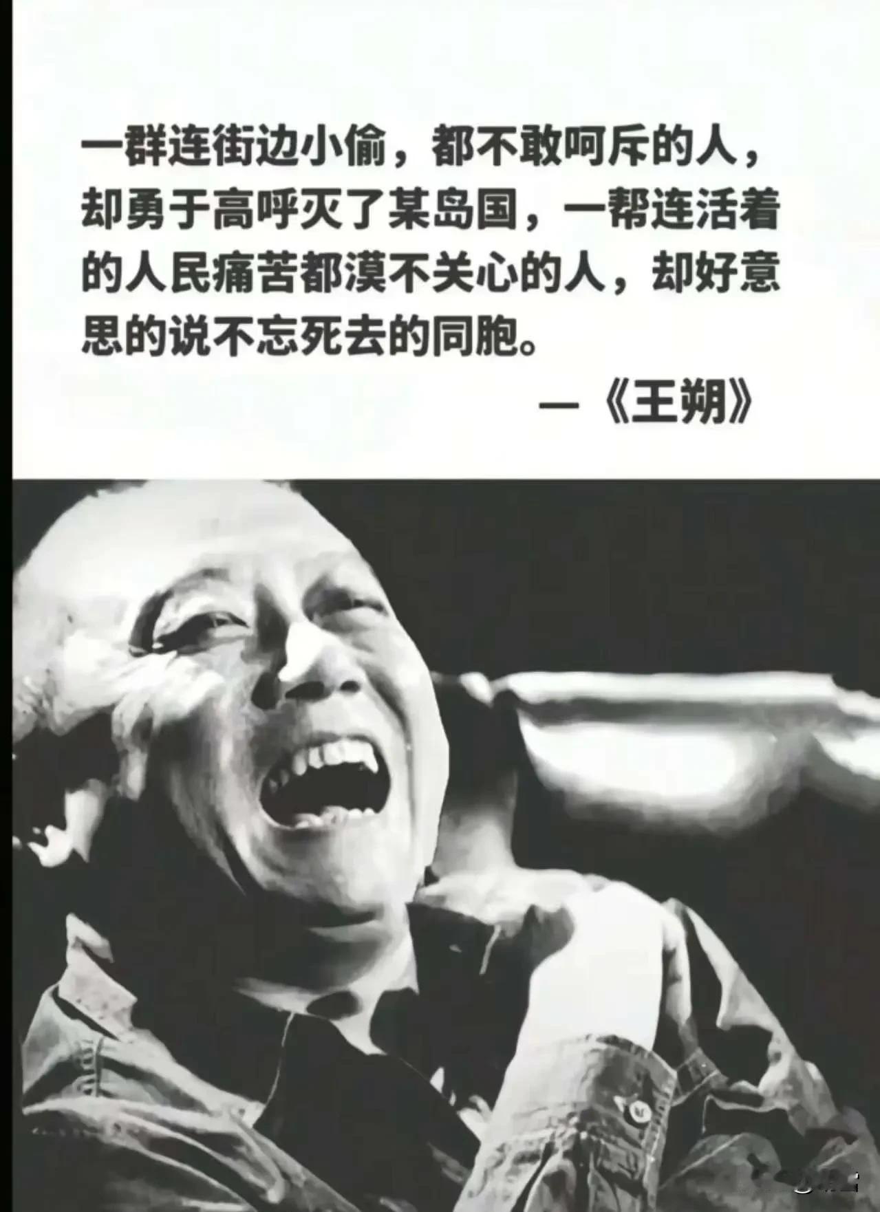 王朔曾说：“一群连街边小偷都不敢呵斥的人，却勇于高呼灭了某岛国；一帮连活着的人民