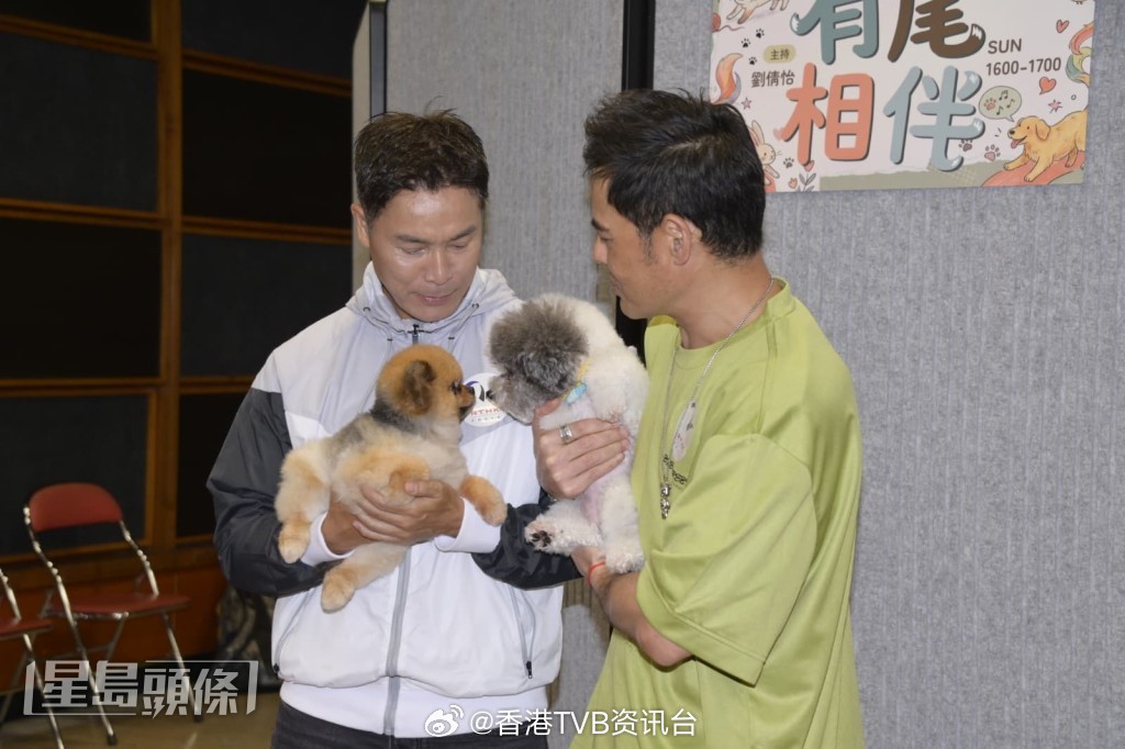 星岛：黄智贤视爱犬如女儿 随Hey Brother五月赴旧金山演出 将闭关背歌词