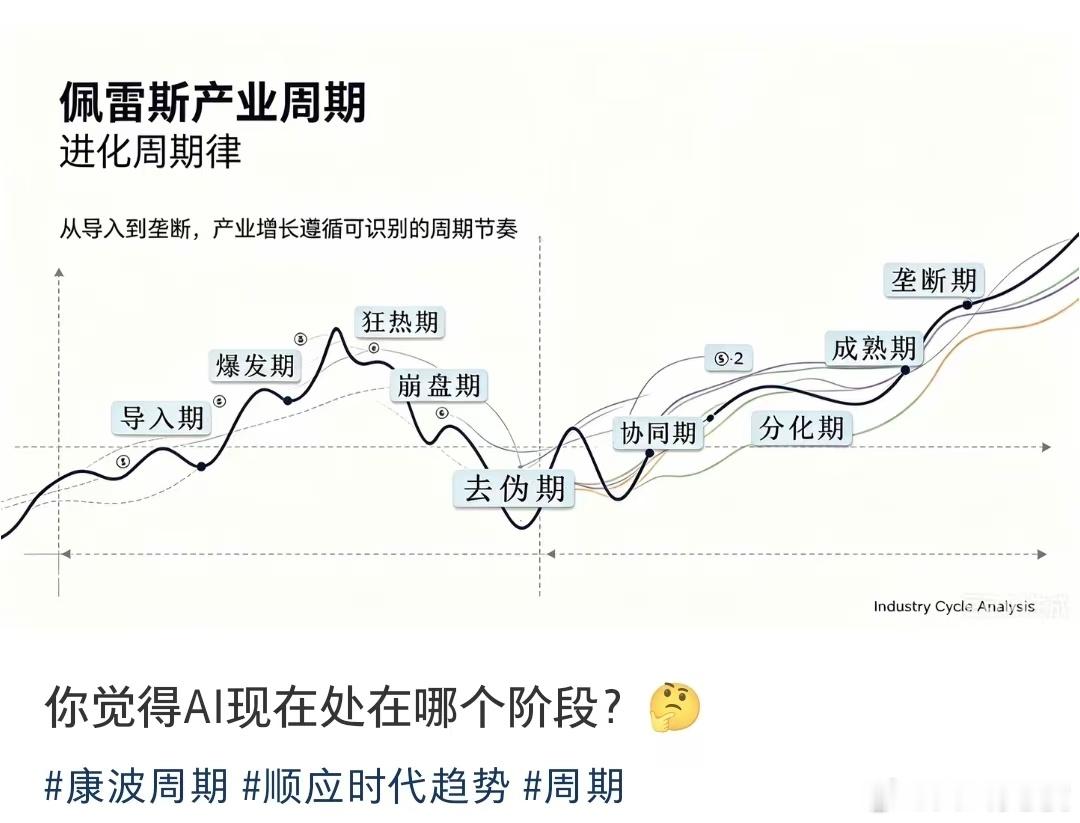 参考经典的佩雷斯产业周期，大家认为现在的 AI 产业和新能源汽车产业分别处于哪个