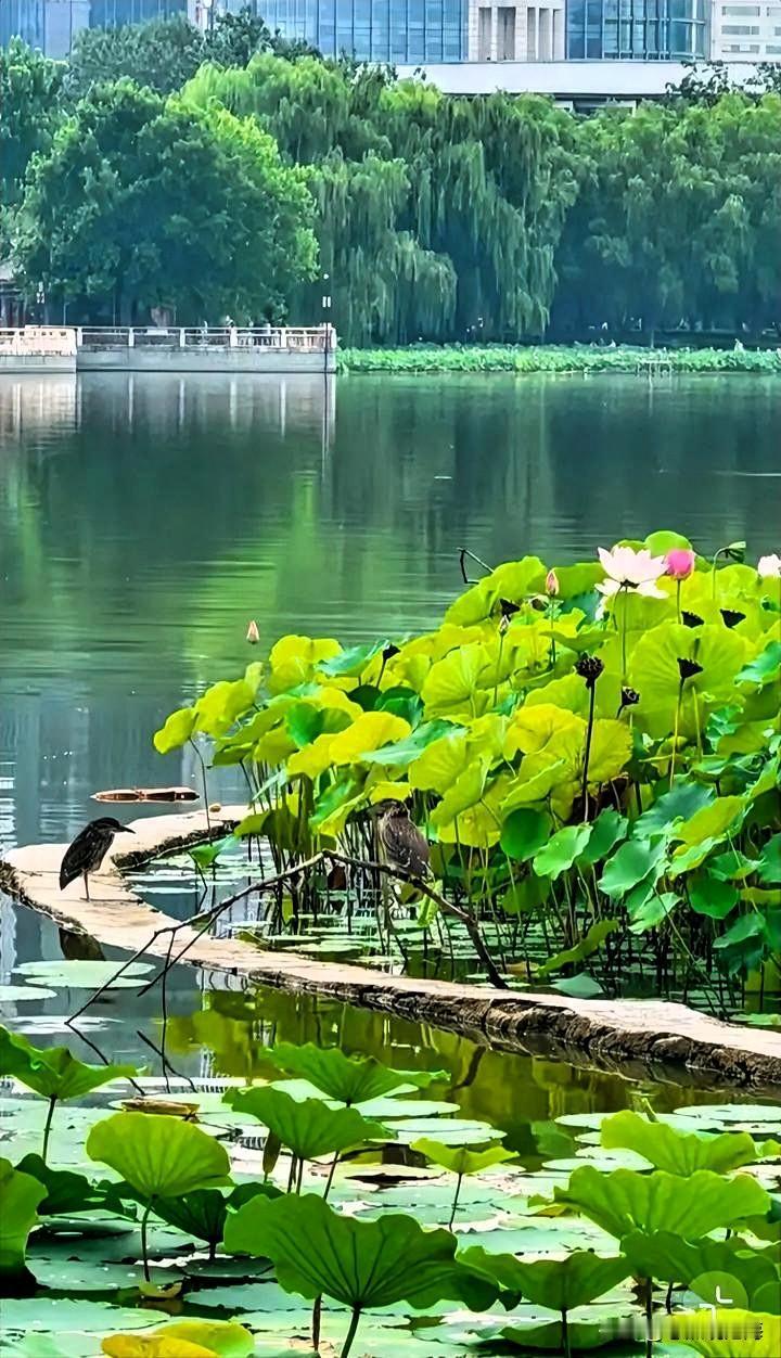 其实年龄和离异，从来不是婚恋的扣分关键。
35岁心智成熟，只要有担当、肯努力、懂