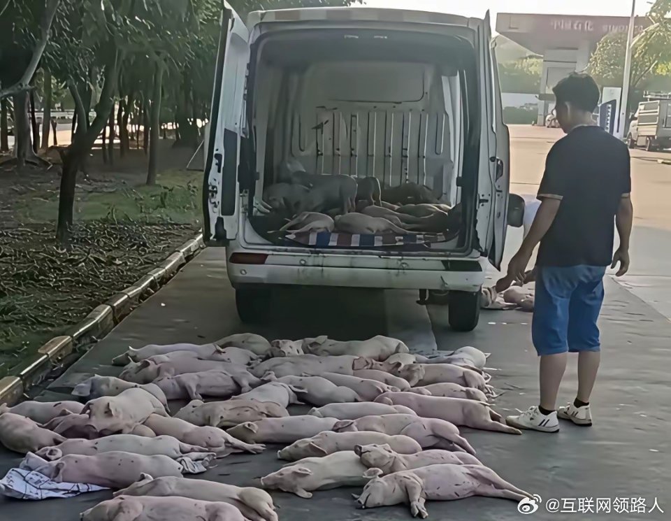 货拉拉的师傅如今啥活都接，这一下，这人怕是得白忙活好几天了！ 