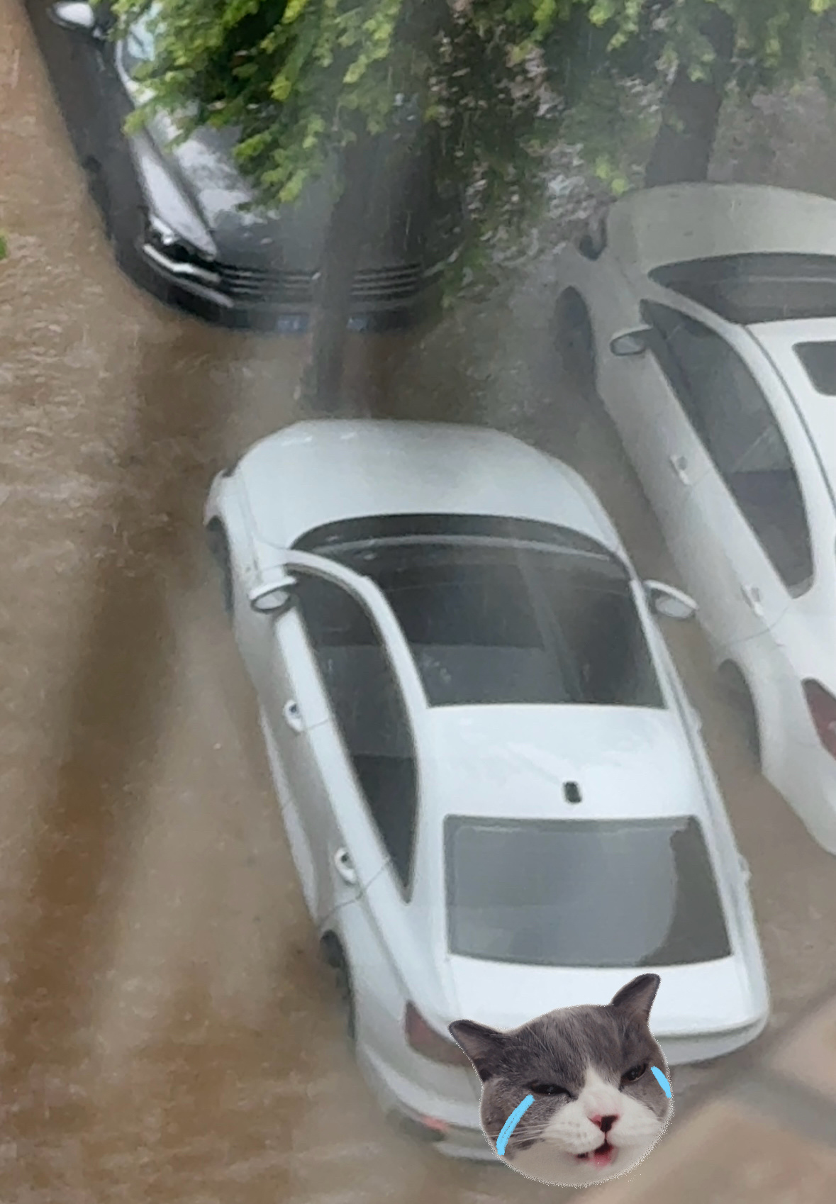 沈阳百年一遇暴雨没想到需要囤物资的是我们