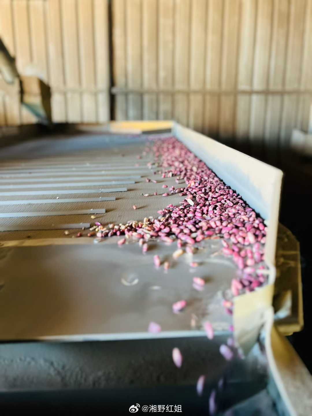 千百年来种子循环♻️天生地长的食物自然滋养身心……湘野红姐慢生活 ​​​