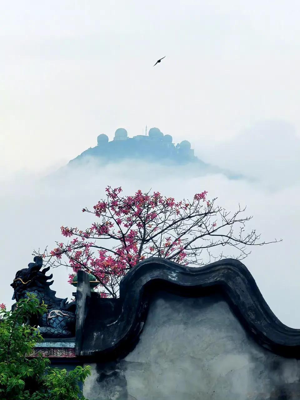 【梁厝特色历史文化街区】

雨后的梁厝，时不时有飞鸟从云雾中掠过，如同笔墨勾勒出