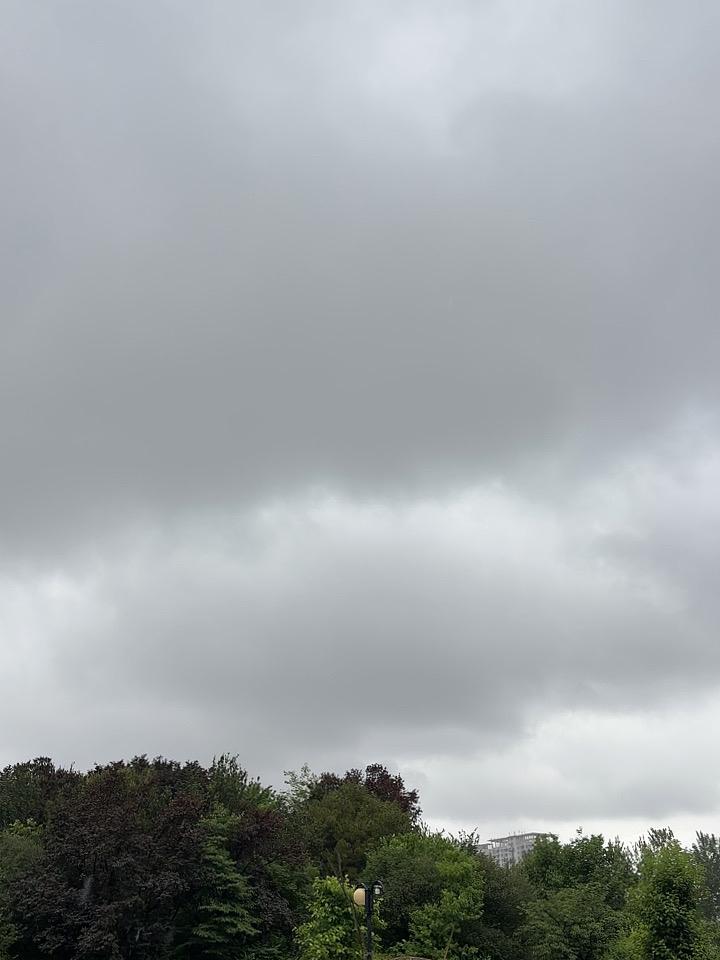 挂号费要五千元，
那是药神落凡间。
贫穷限制我想象，
原因就这么简单。
比尔盖茨
