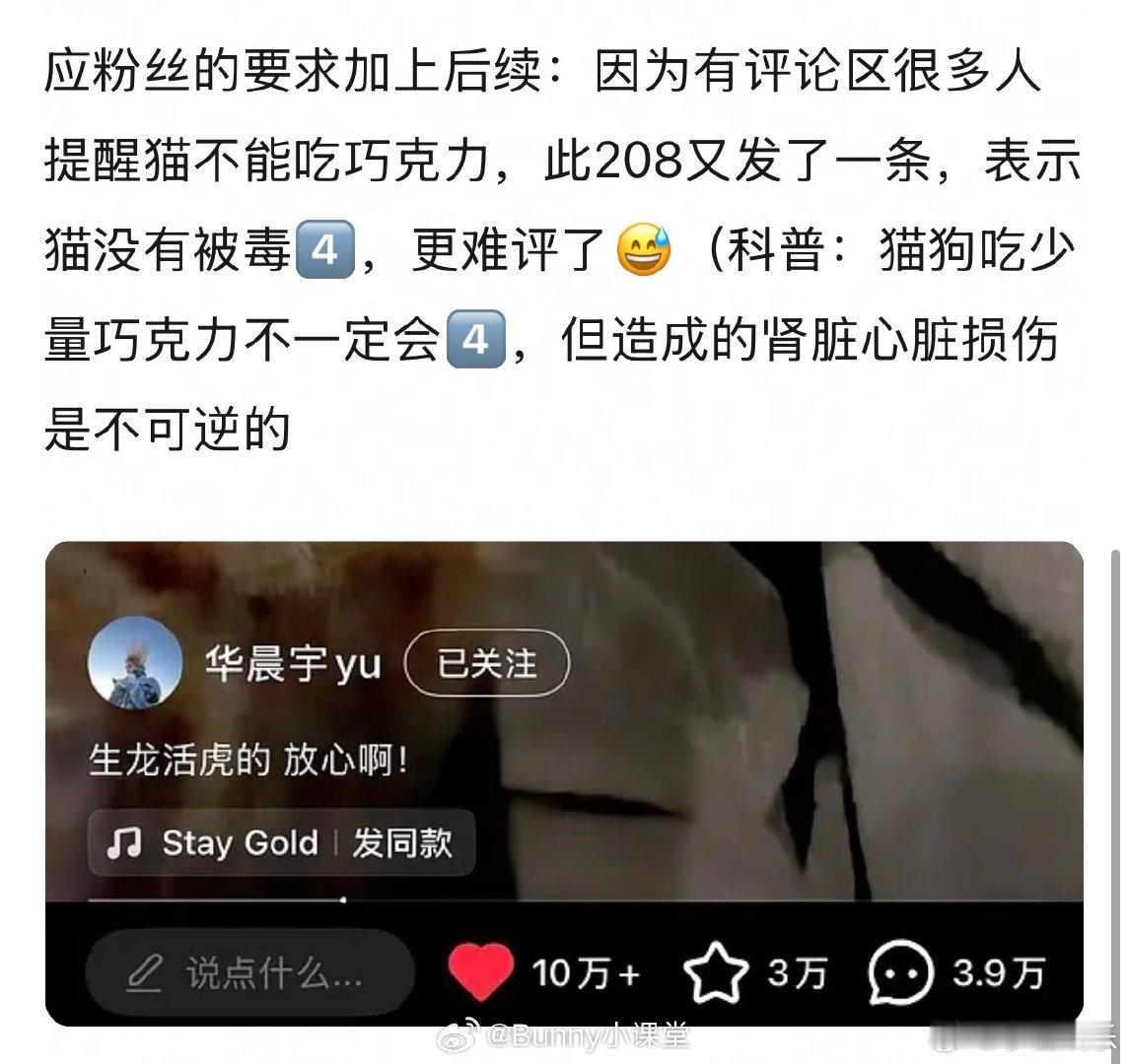 华晨宇喂猫吃巧克力蛋糕华晨宇给猫吃巧克力被质疑 华晨宇喂猫吃巧克力蛋糕，给蛋糕拍