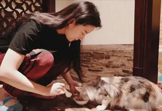 #刘亦菲有新狗了#神 仙 姐 姐 是 真 的 很 爱 小 动 物 啊，家 里 许