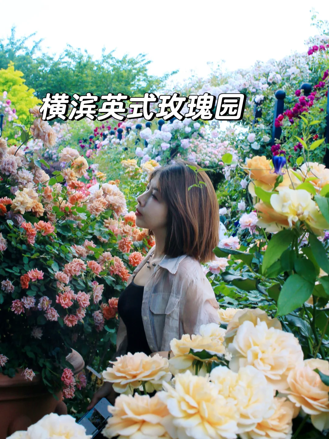 横滨English Garden的5月，极美
