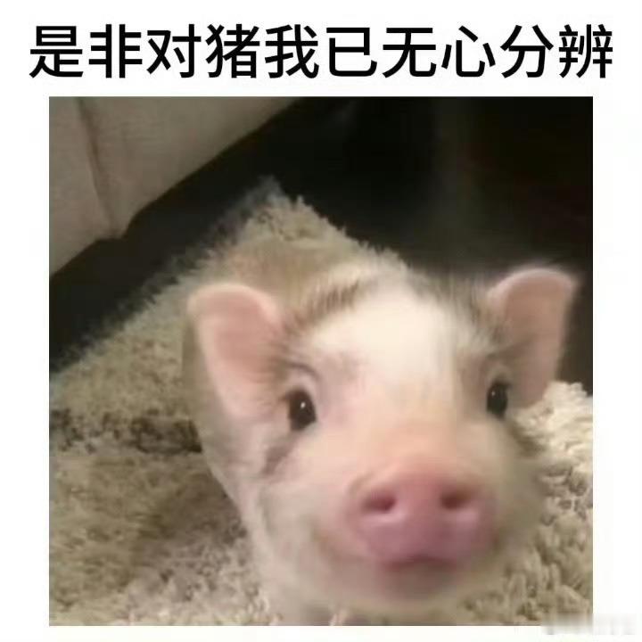 想攒点插图的设计例图，开两个美工无偿稿位，ddl月底，欧风古风苦手，常规制品都能