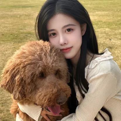 阳光明媚的午后，与我的狗狗一起享受美好时光治愈系宠物狗 带狗狗出去玩儿 温柔狗狗