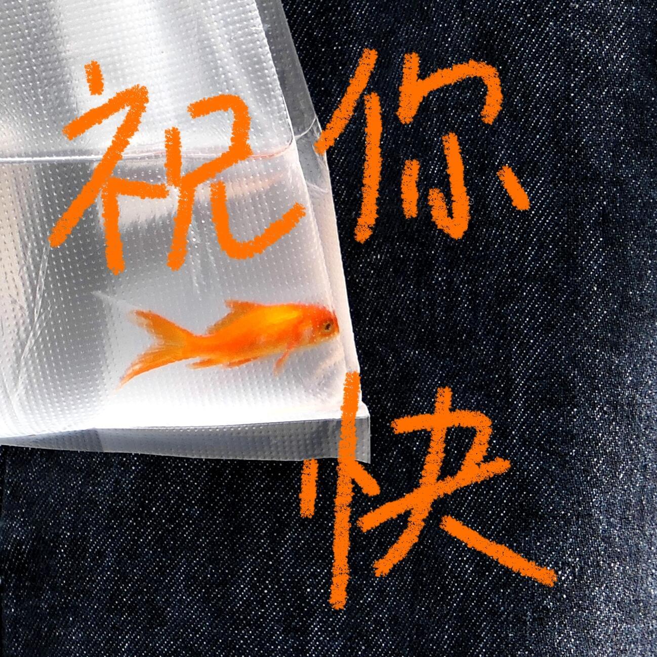 摄影花鸟字｜照片涂鸦好好玩！cr：陈见夏 