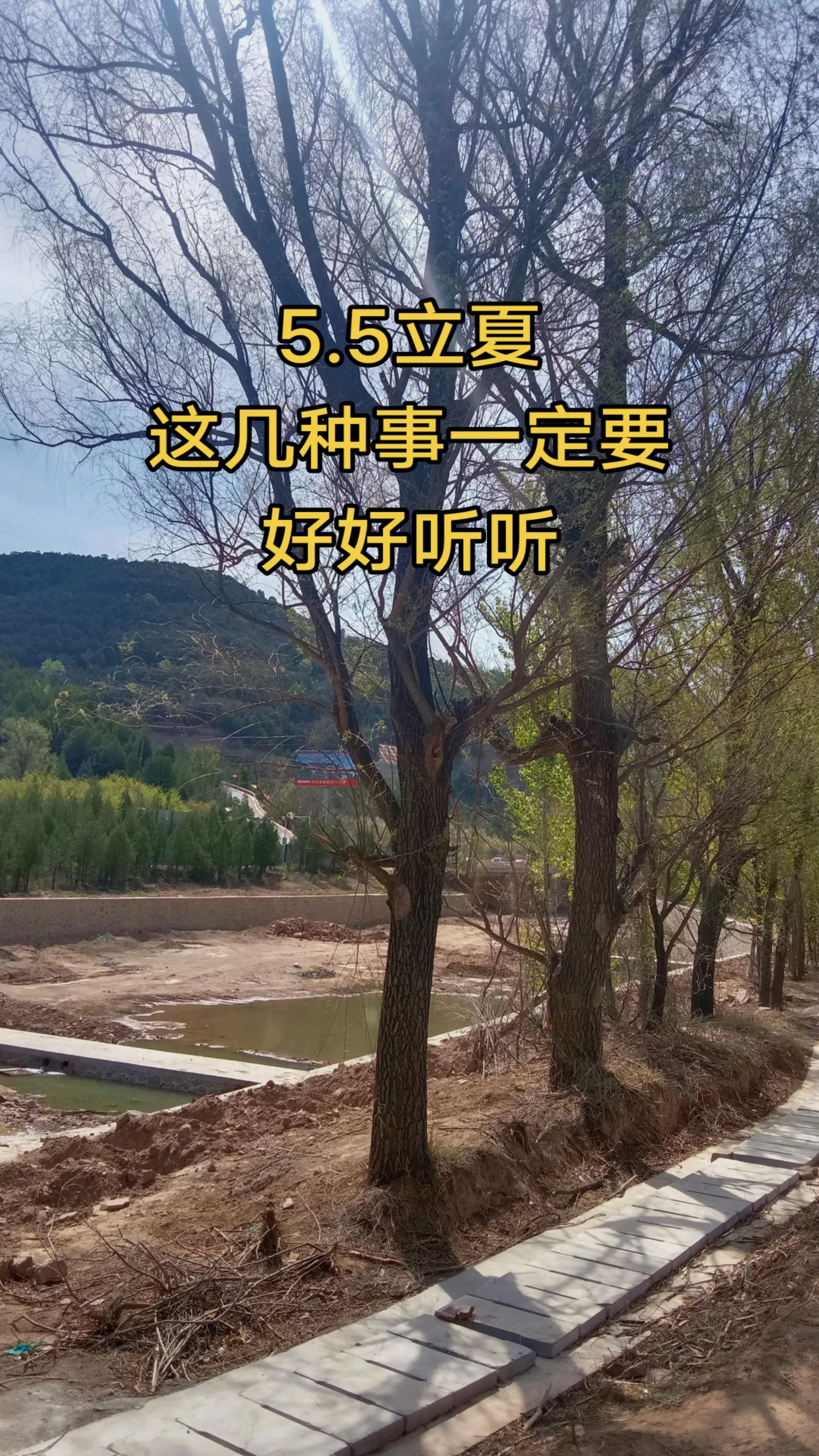 立夏养生