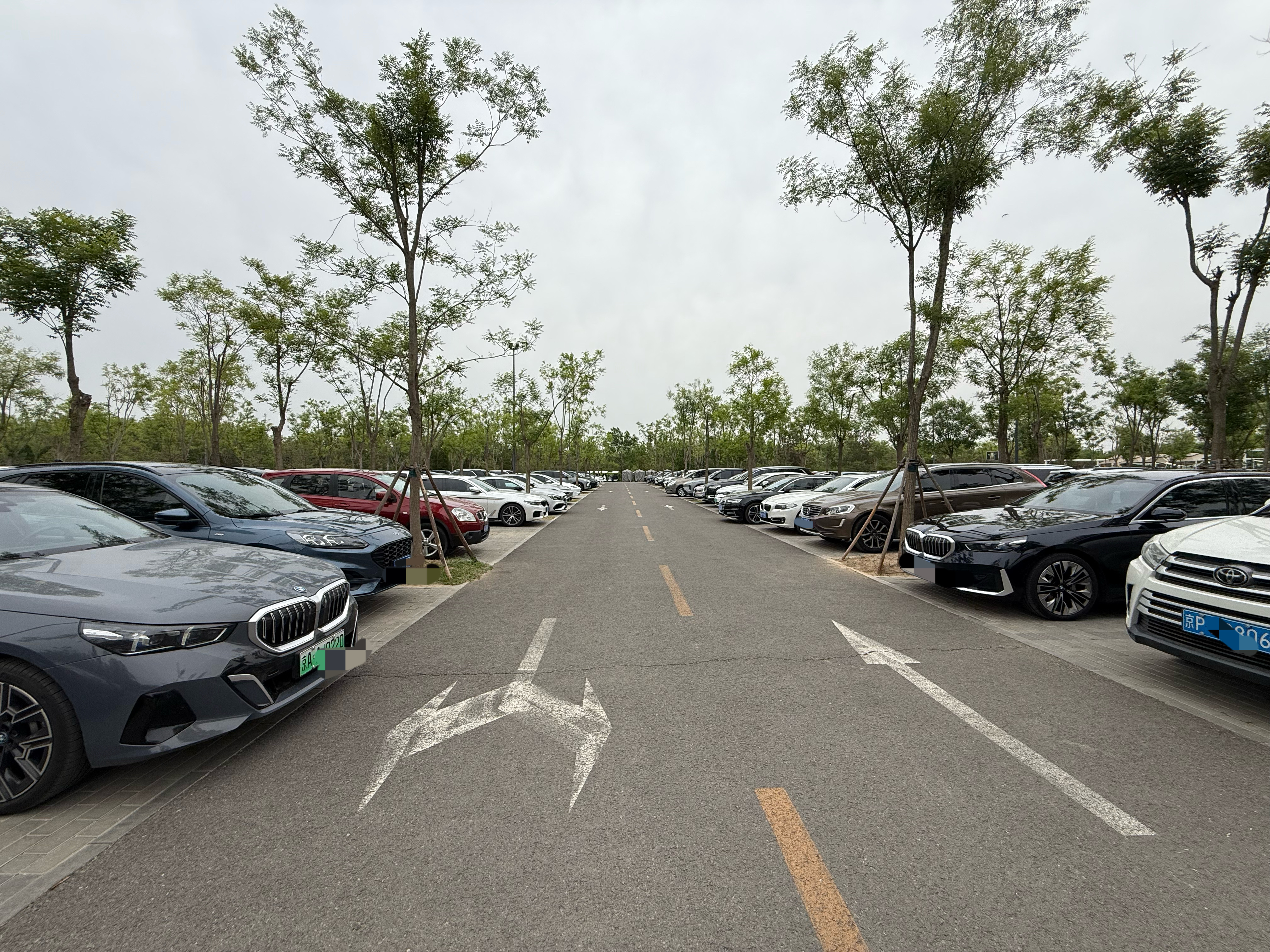 5系群众基础还是好，公园停车场随便一拍，你们看看有多少台各代5系： ​​​