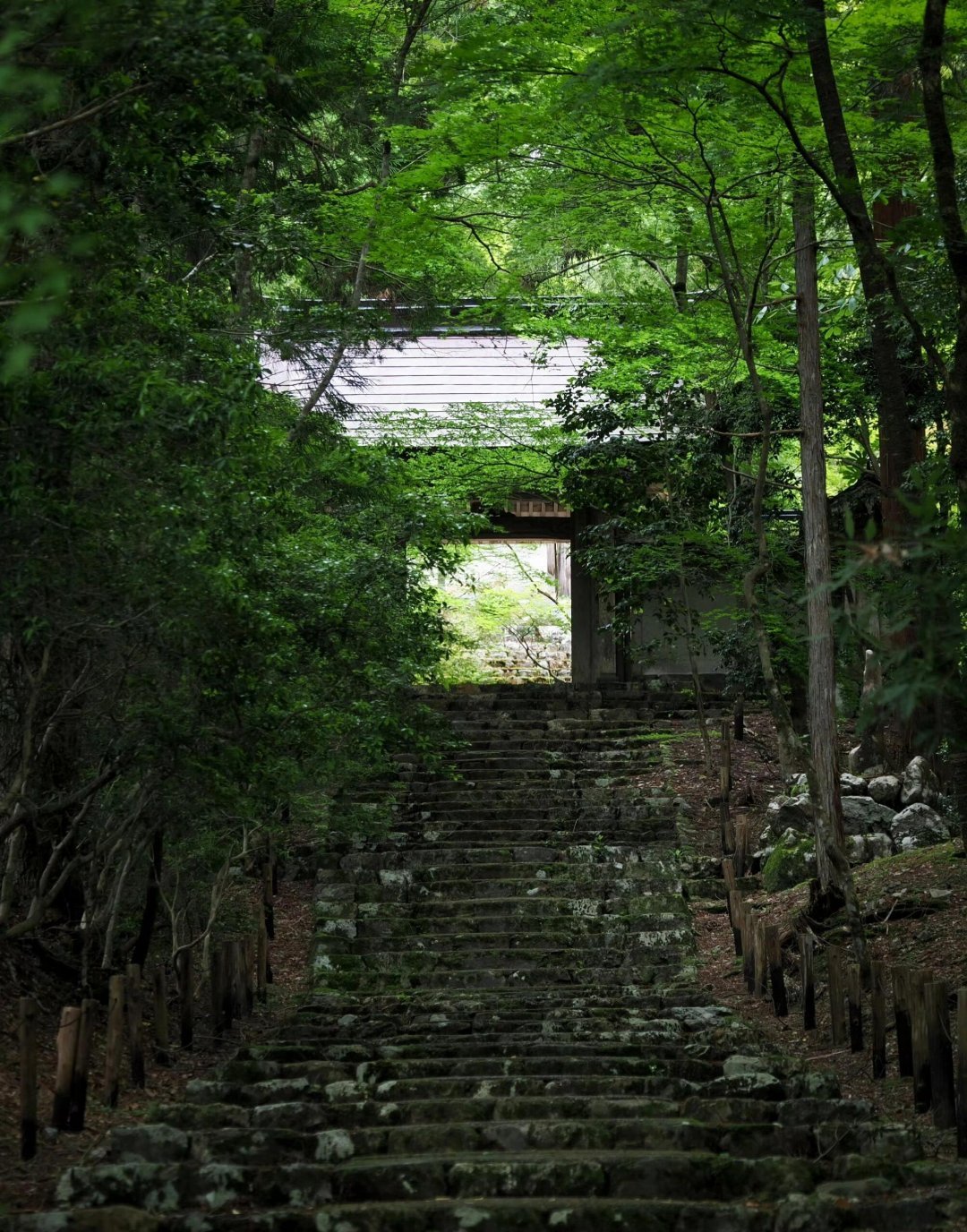 人到了一定的年龄，一定要懂得，把心情和脾气调成静音模式，然后不动声色的打理自己，