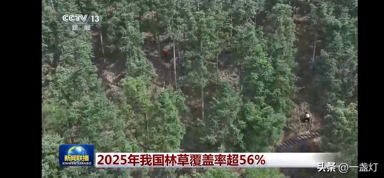 2025年我国林草覆盖率超56%，守护绿色家园，从我做起！🌳💚
