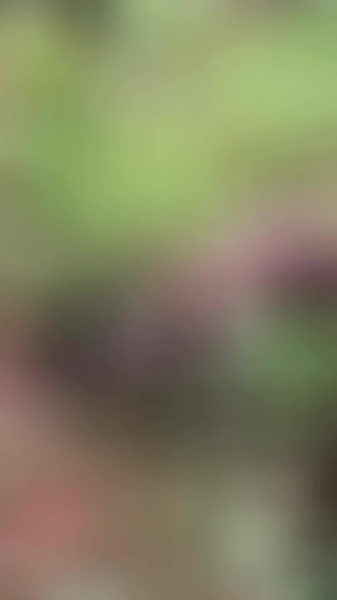 1.精神状态：巡查时重点观察林麝是否萎靡不振，若精神状态异常，需尽快隔离检查。