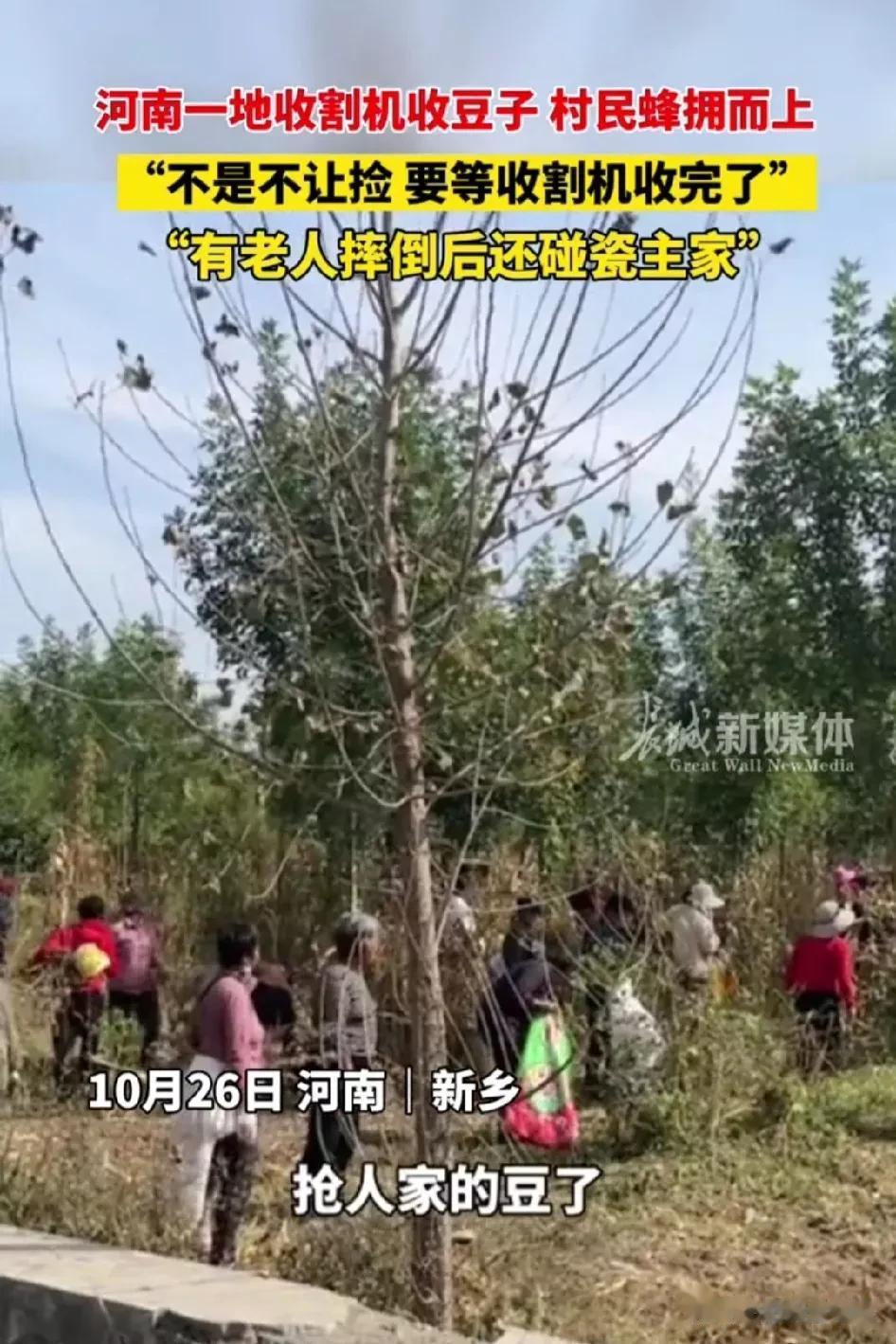 “太过分了”。今天又看到村民捡拾农产品的新闻。以往是村民跟在收割机后面捡漏，这一