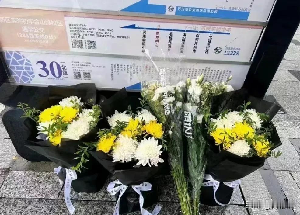 #大批苏州市民在车站向胡友平献花# 
胡友平，一个平凡且伟大的中国女性
她是一个