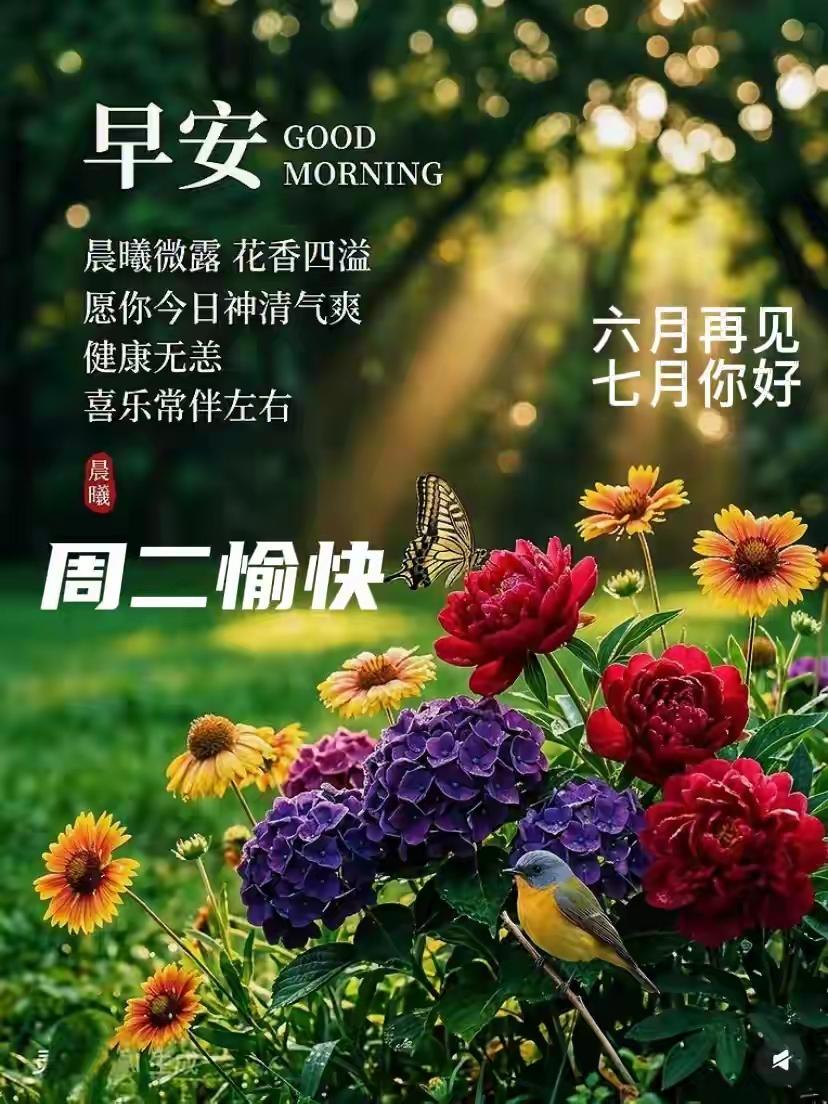 晨光漫过窗沿，把新一天的温柔轻轻铺展。好好吃顿热乎早餐，迎着风从容出发，把细碎烦