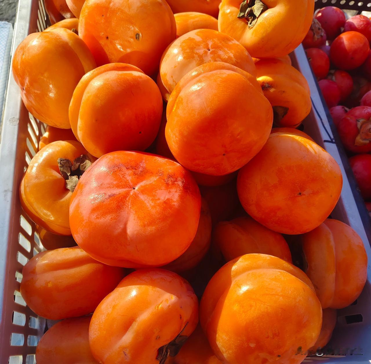 咱也没瞅见你发的图啊！
不过猜也能猜个八九不离十，
指定是冻得黢黑透亮的大冻梨，