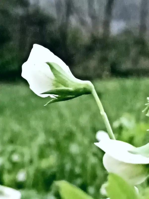 用一颗平常心，
去面对那些意料之外，
尽自己的本分，
接受生活本来的样子，
问心