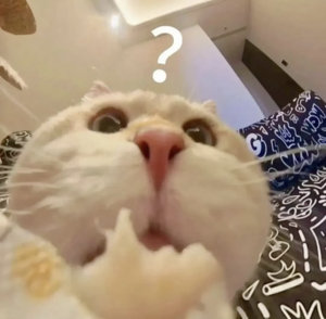 你威上来蹲底角，来回跑球都摸不到