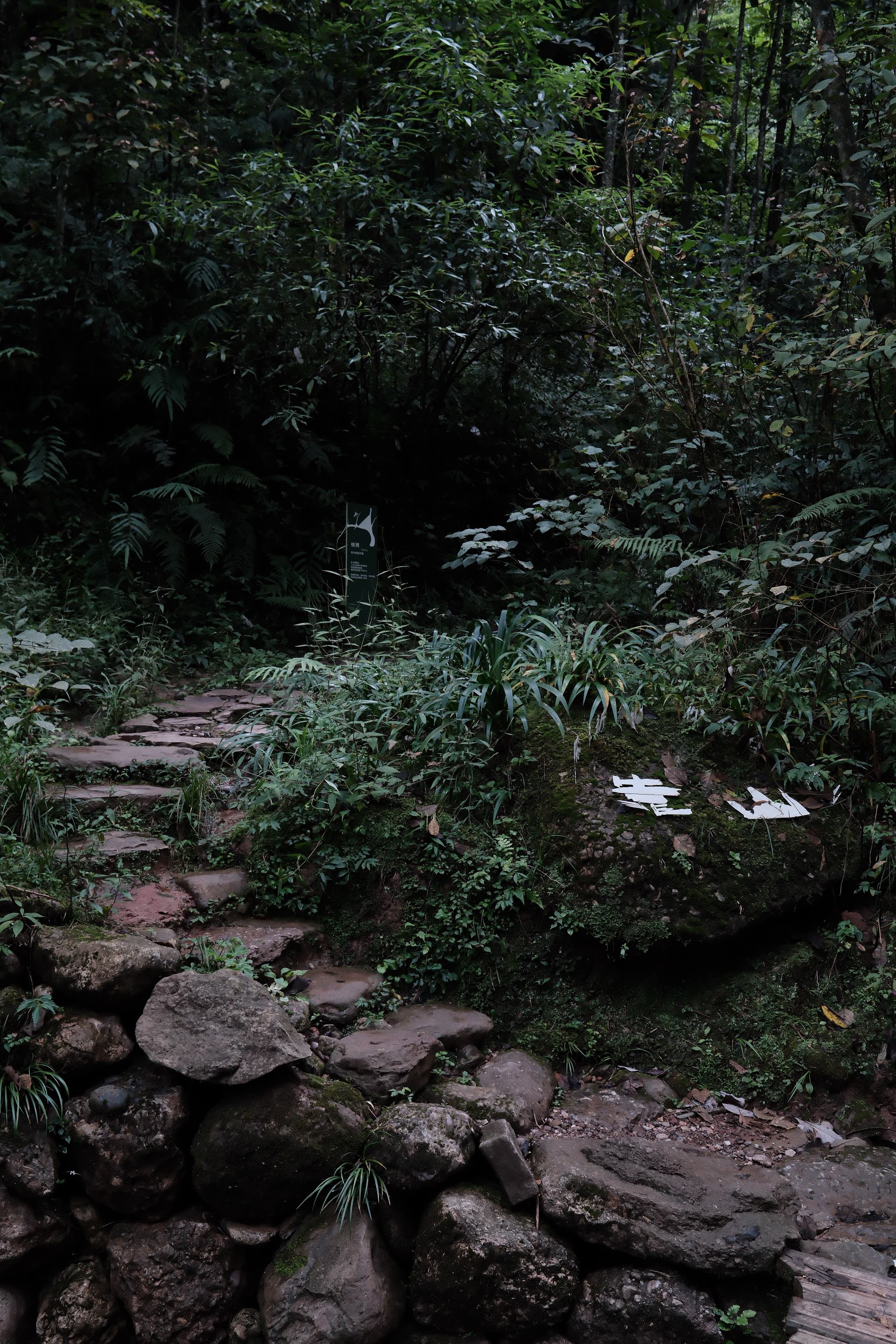 在九月的细雨里寻找蓝天 