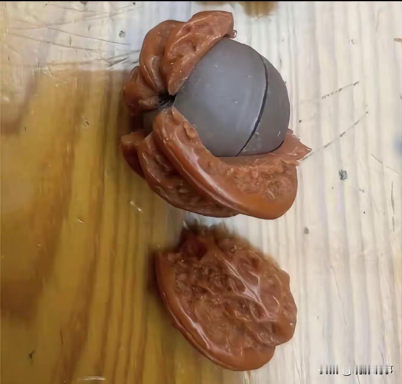 河北省唐山市的一位男士意外地揭开了一个令他始料未及的秘密：他精心把玩了四年之久的