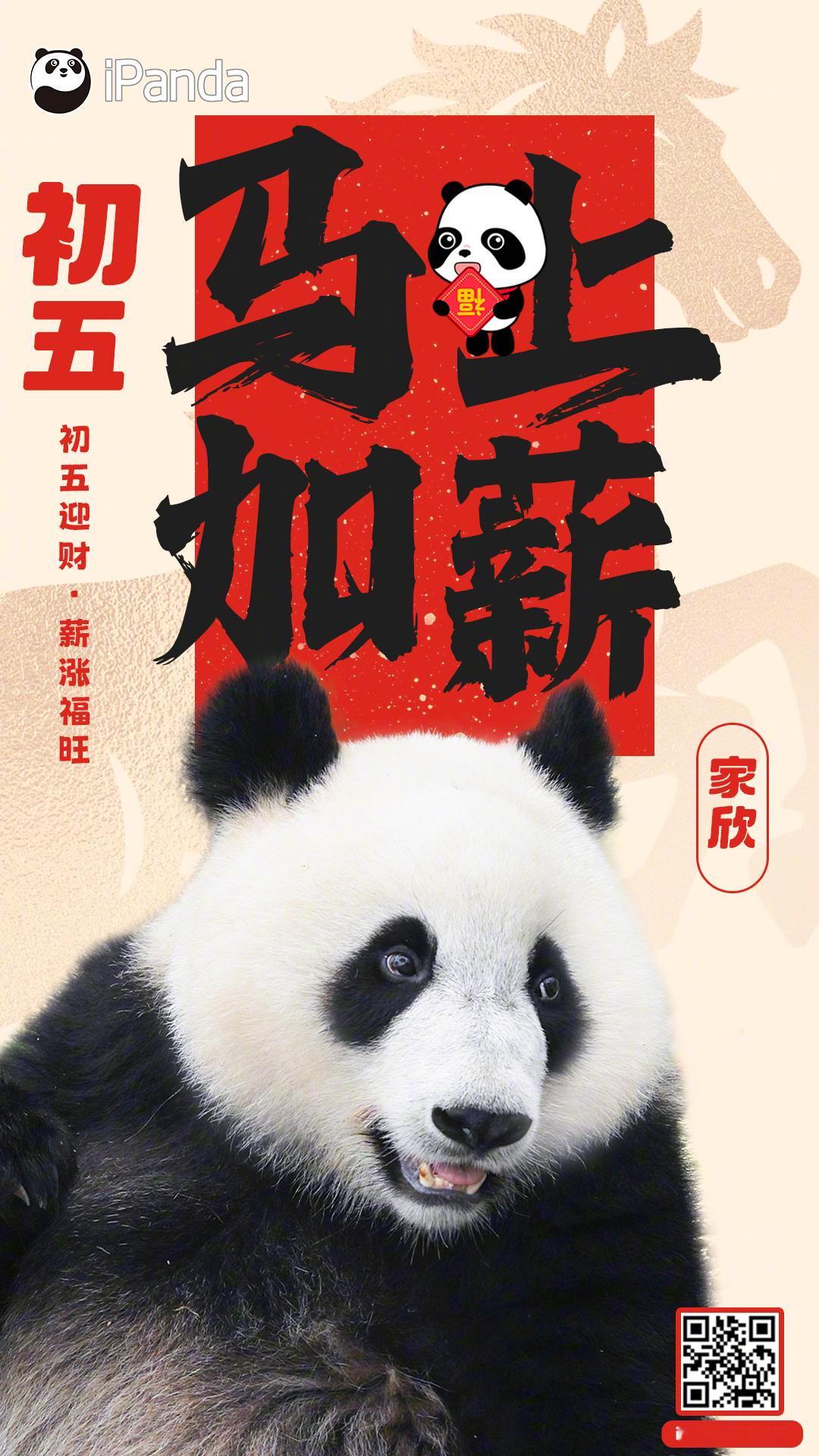 大年初五 ，宜送祝福：恭喜发财！大熊猫“家欣”发来贺电：初五迎财，薪涨福旺～ 熊