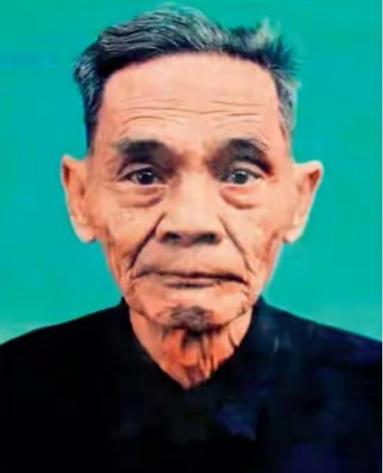 1988年，谢汉光在回到老家的过程中，发现妻子已经儿孙满堂，误认为妻子已经改嫁，