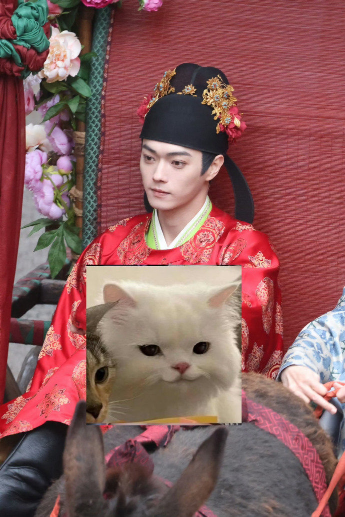 许凯  子夜归婚服迎亲路透来了戴花的梅逐雨[抱一抱][抱一抱][抱一抱]#许凯梅