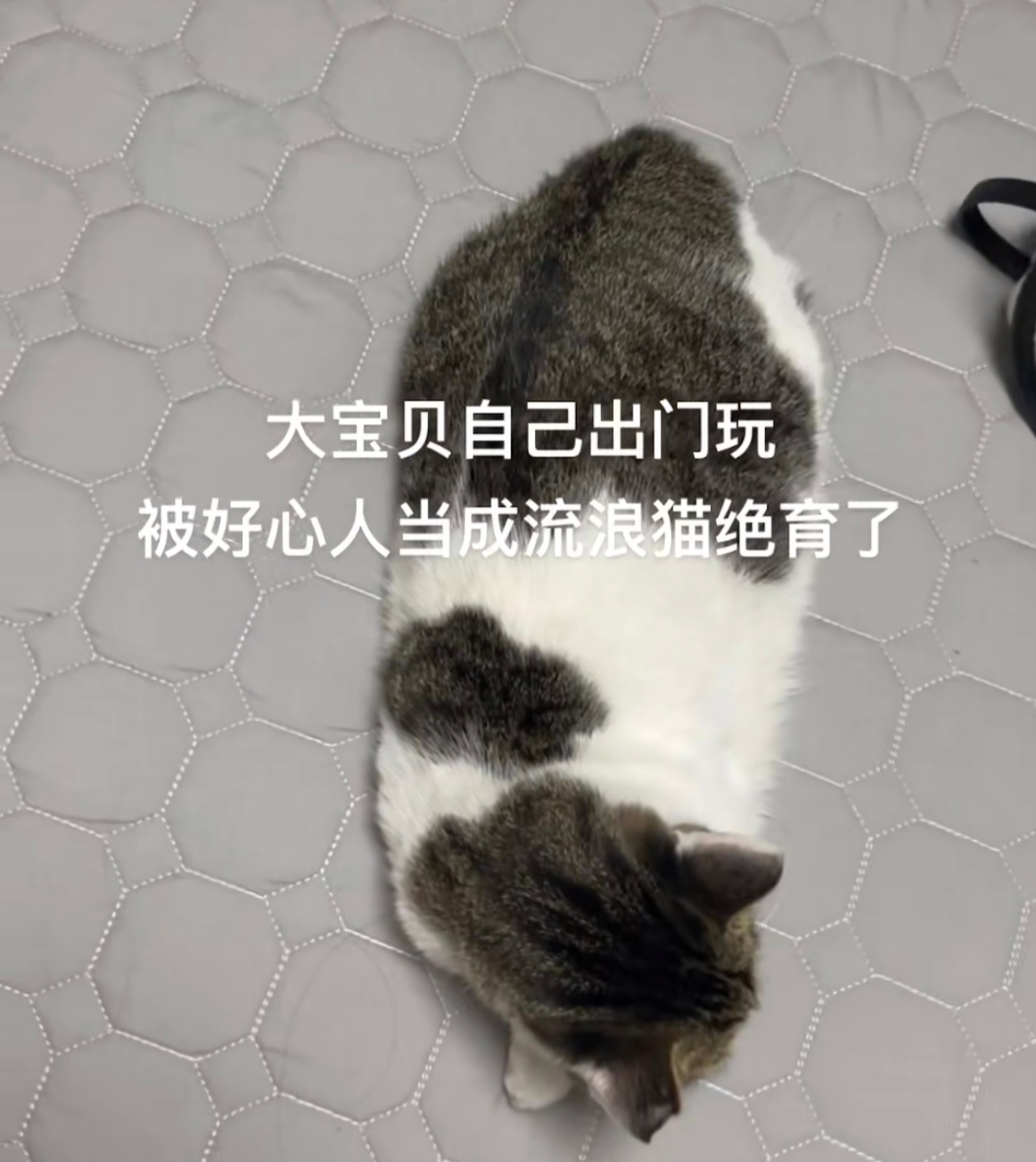 对不起但是哈哈哈哈哈哈 ​​​