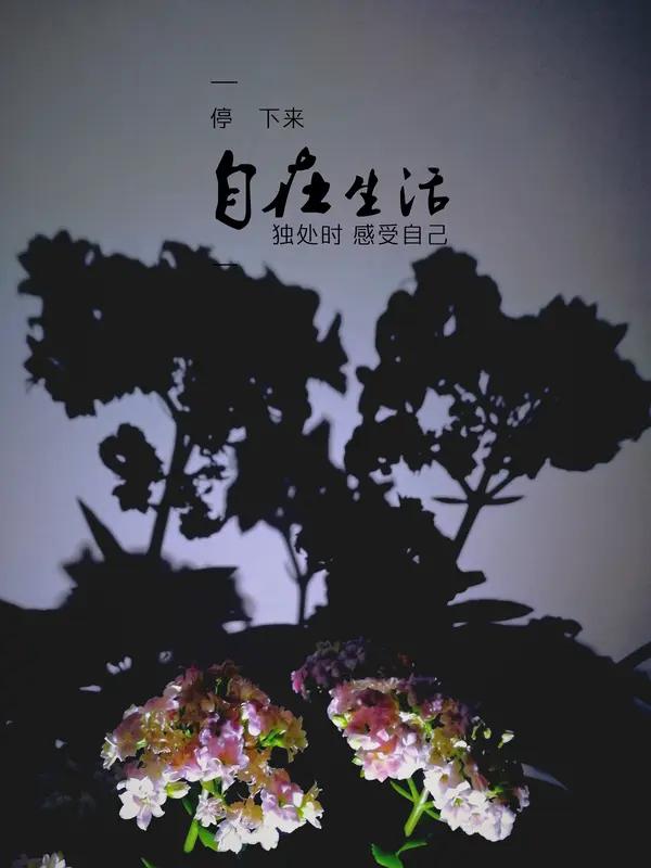 你不必完美，
不必耀眼，
只要勇敢站上去，
就是对自己最好的交代。[赞][比心]