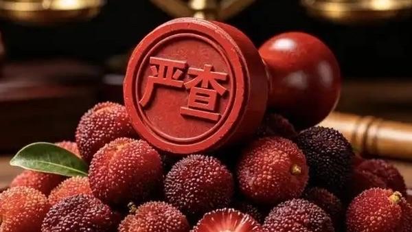 5月24日消息，漳州龙海针对杨梅违规泡药问题开展追责。涉事6家单位因监管履职不到