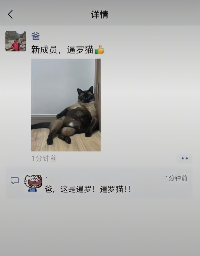 爸说是啥就是啥 