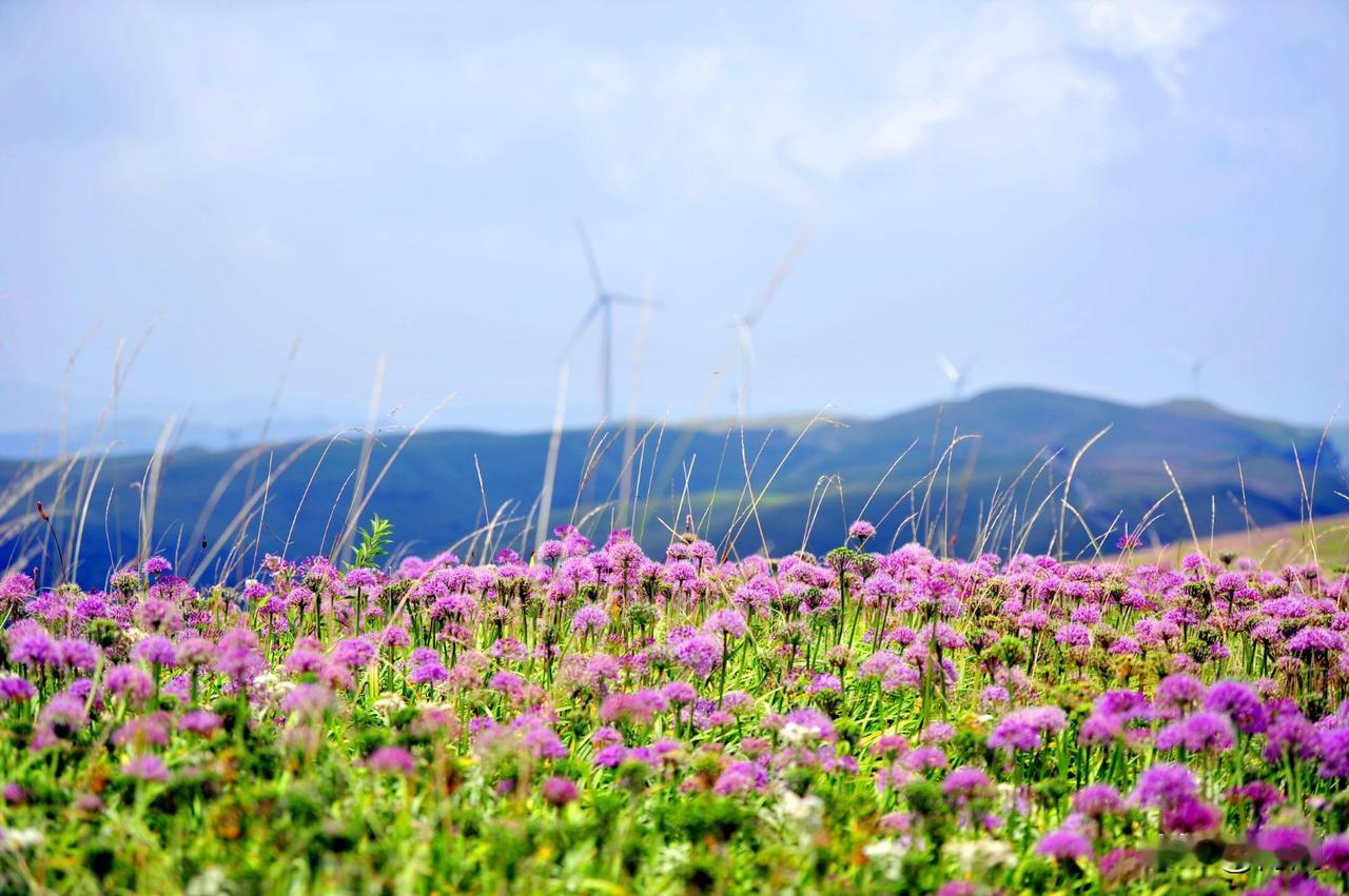 人的一生最大的财富是什么?

人生何为最大的财富？有人说是金钱，有人说是健康，抑