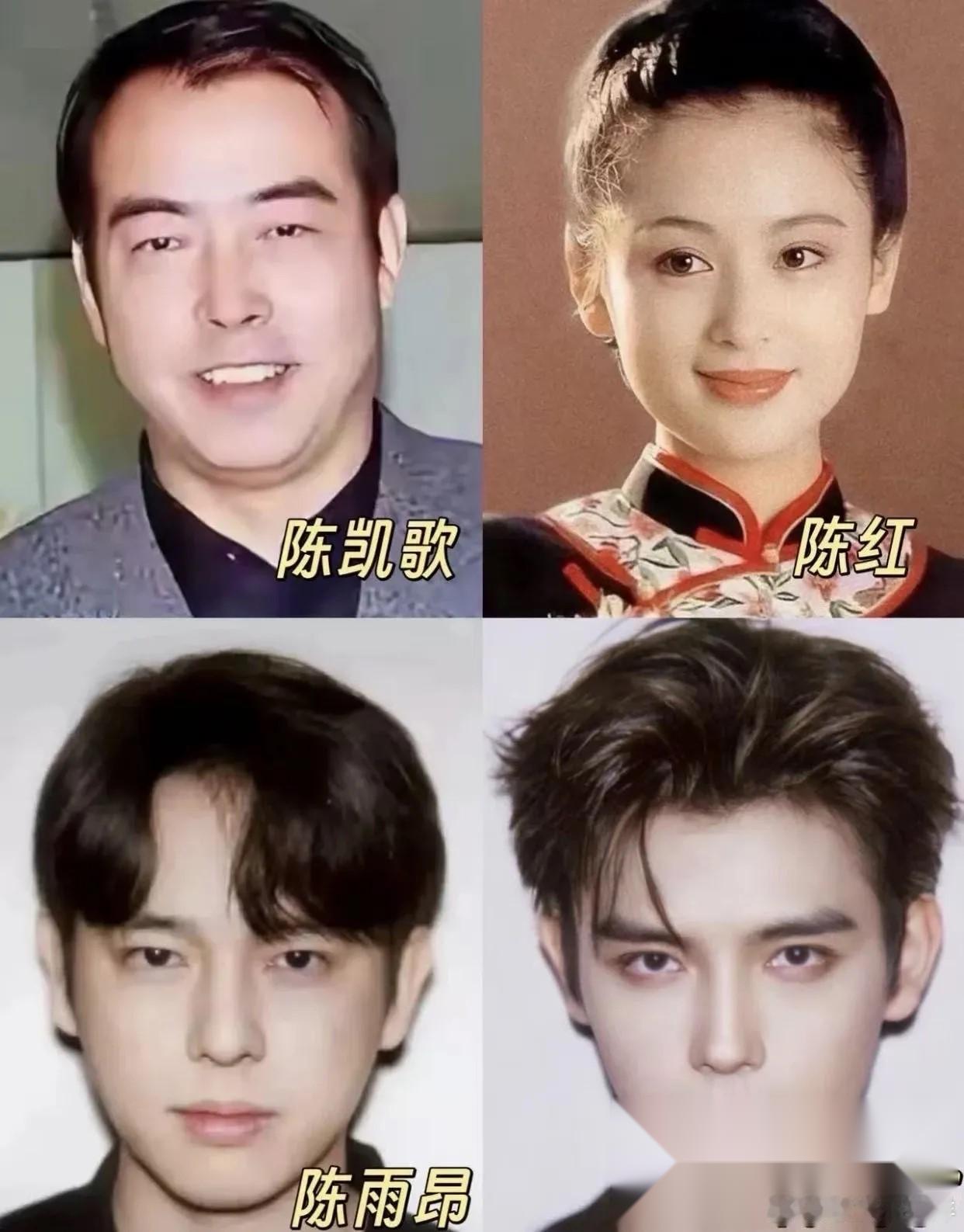 陈凯歌的俩儿子，基因居然对半劈了！  老大陈雨昂，是陈导的复制粘贴版，眉眼方正、
