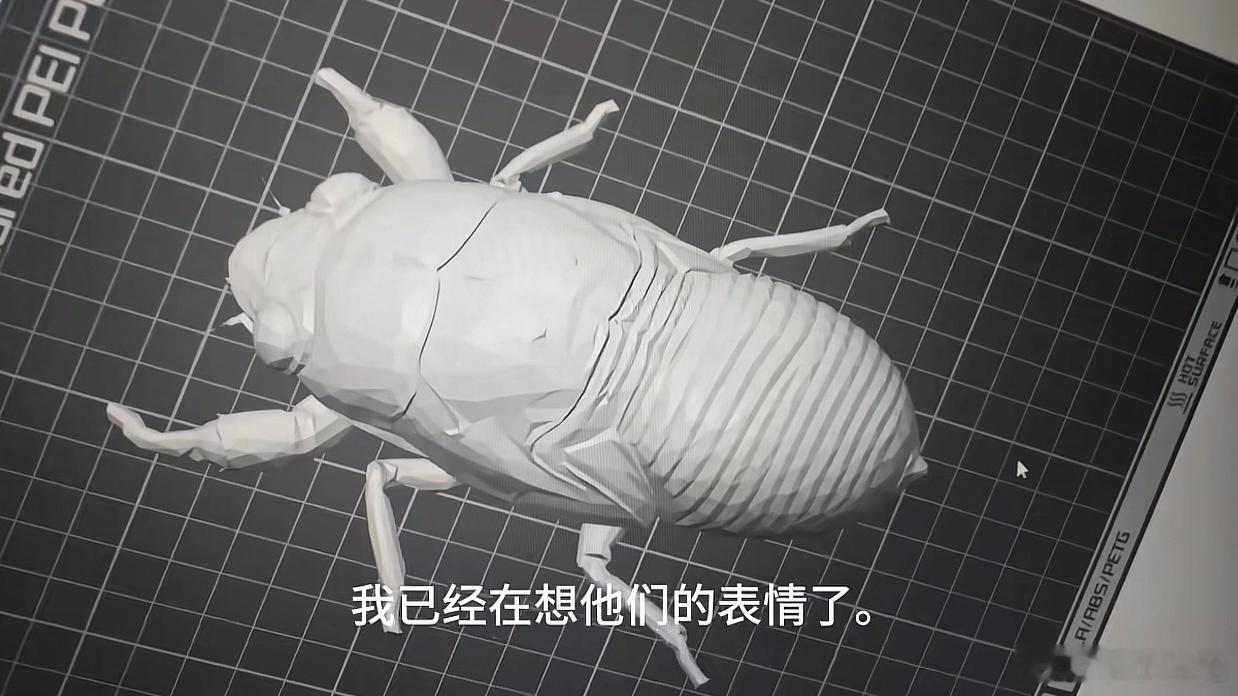 人在干坏事的时候最不嫌累，今年不知道吹的什么风，这么多人用打印的知了猴捣乱，有用