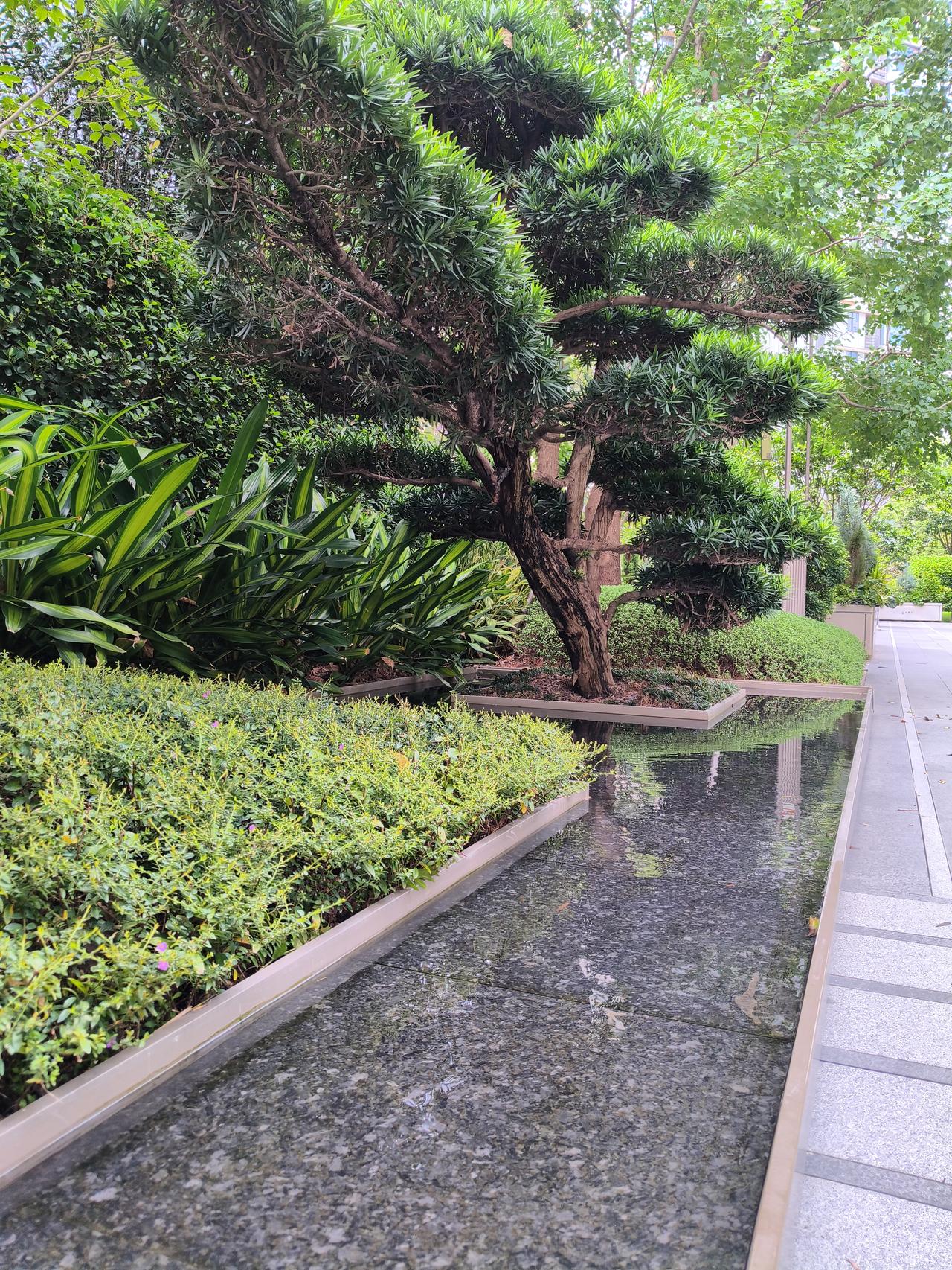 两种截然不同的婚姻模式，竟结出了几乎一样的果实。
这事发生在大樟溪畔那个只有一千