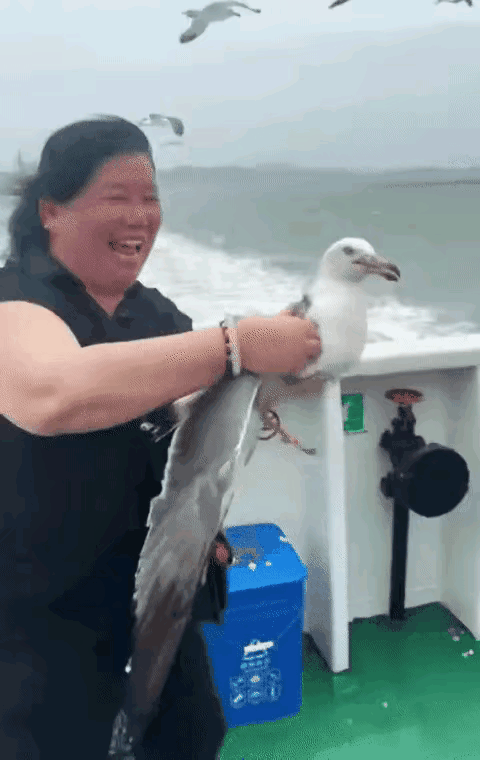 简直太离谱！大妈游船上徒手抓住海鸥，旁人好心劝说放生，她完全不听！
 
事情发生