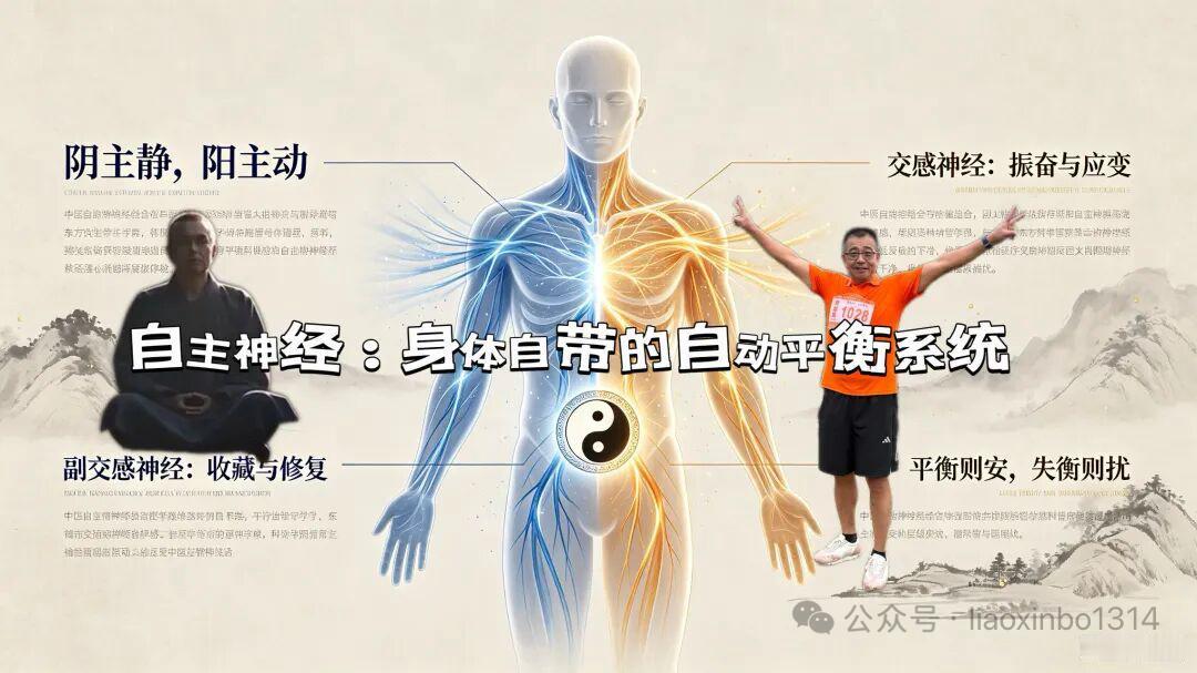 【自主神经：身体自带的自动平衡系统】自主神经：身体自带的自动平衡系统 自主神经，
