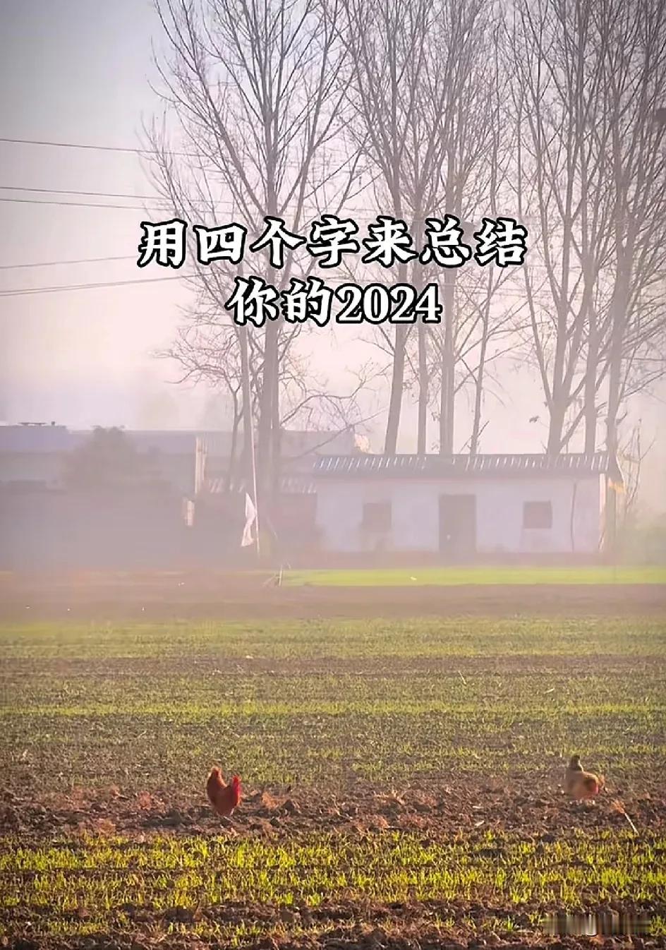 用四个字
来形容你的2024年？