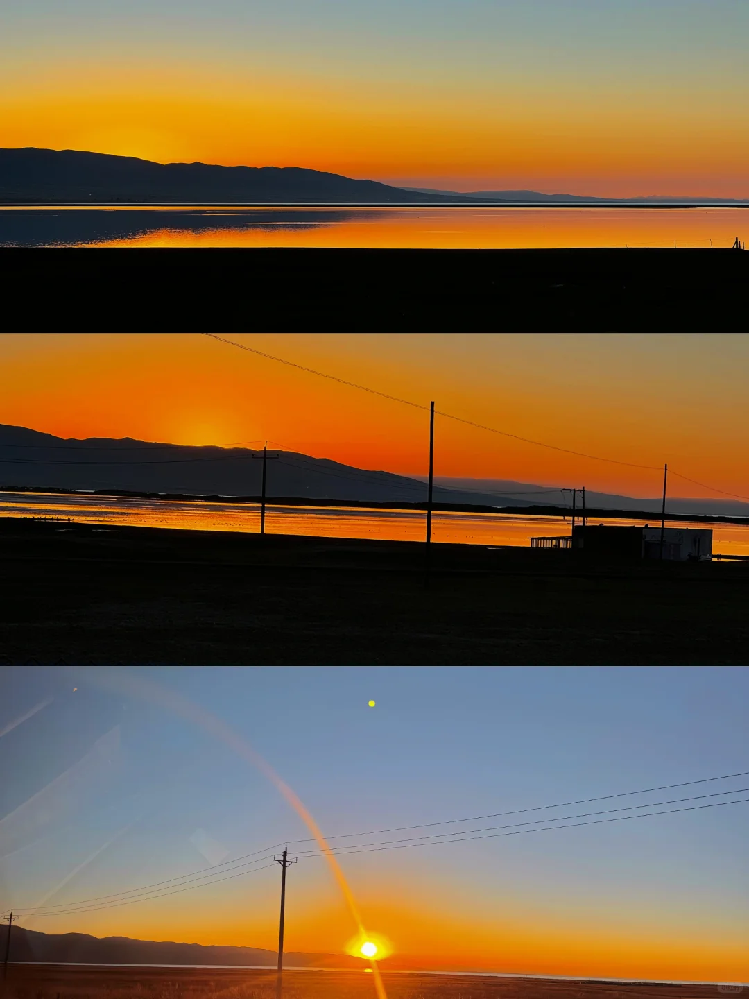 狗生需要一个沙漠旷野♡青海湖金沙湾