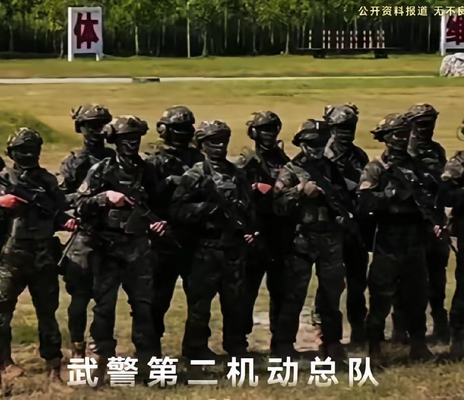 武警第二机动总队，武警的两大正军级机动总队之一，也是武警的精锐中的精锐，其实力应