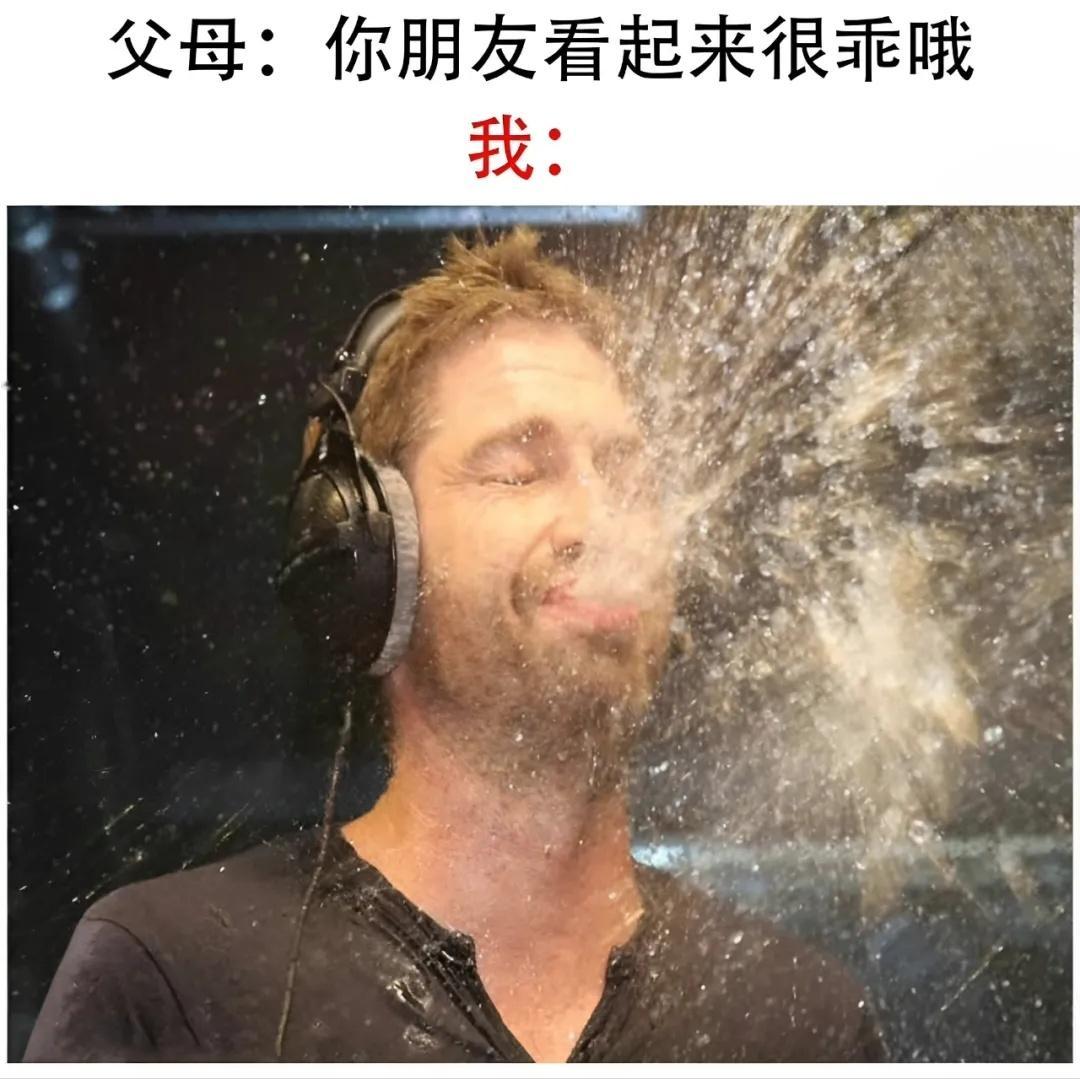 很乖是你的谎言 meme  / 