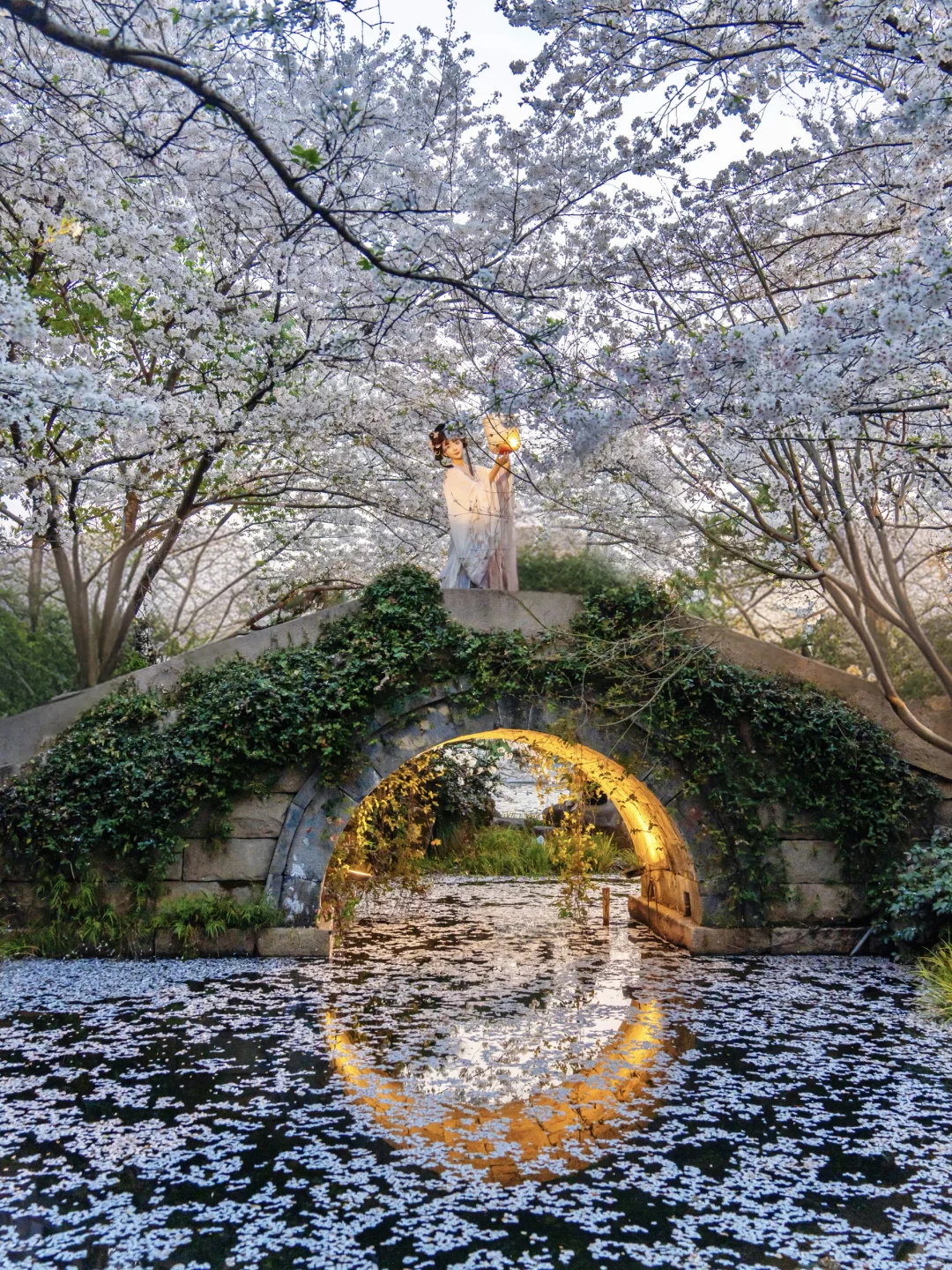 三月来杭州❗️收好这些绝美赏樱地‼️