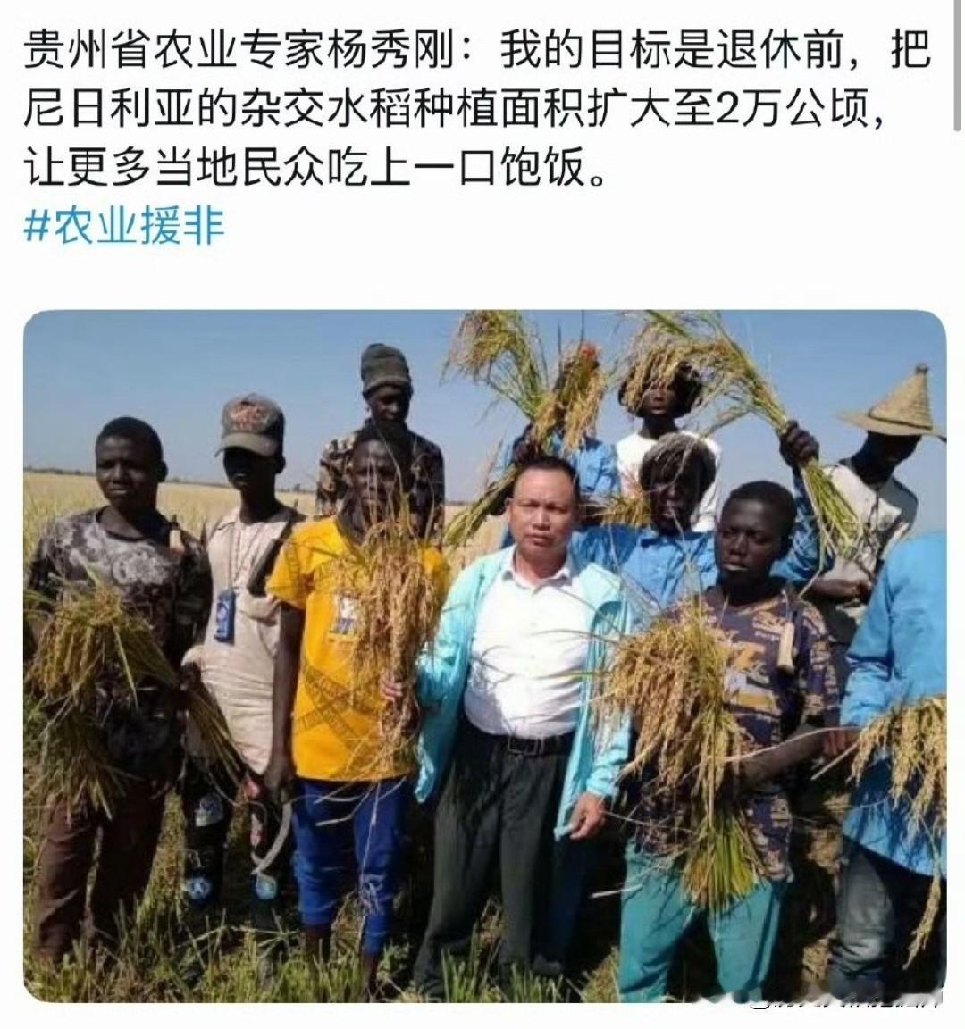 我国专家真是替黑人朋友操碎了心！