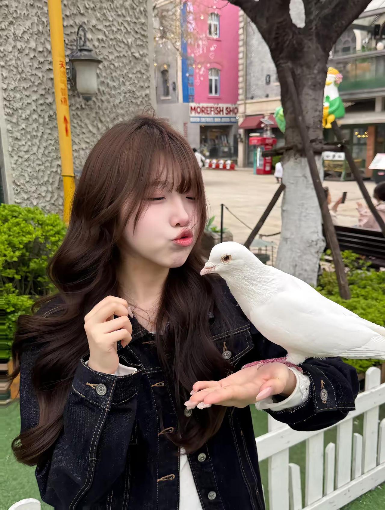 我不会觉得任何一个女孩比你可爱 如果有那就是明天的你