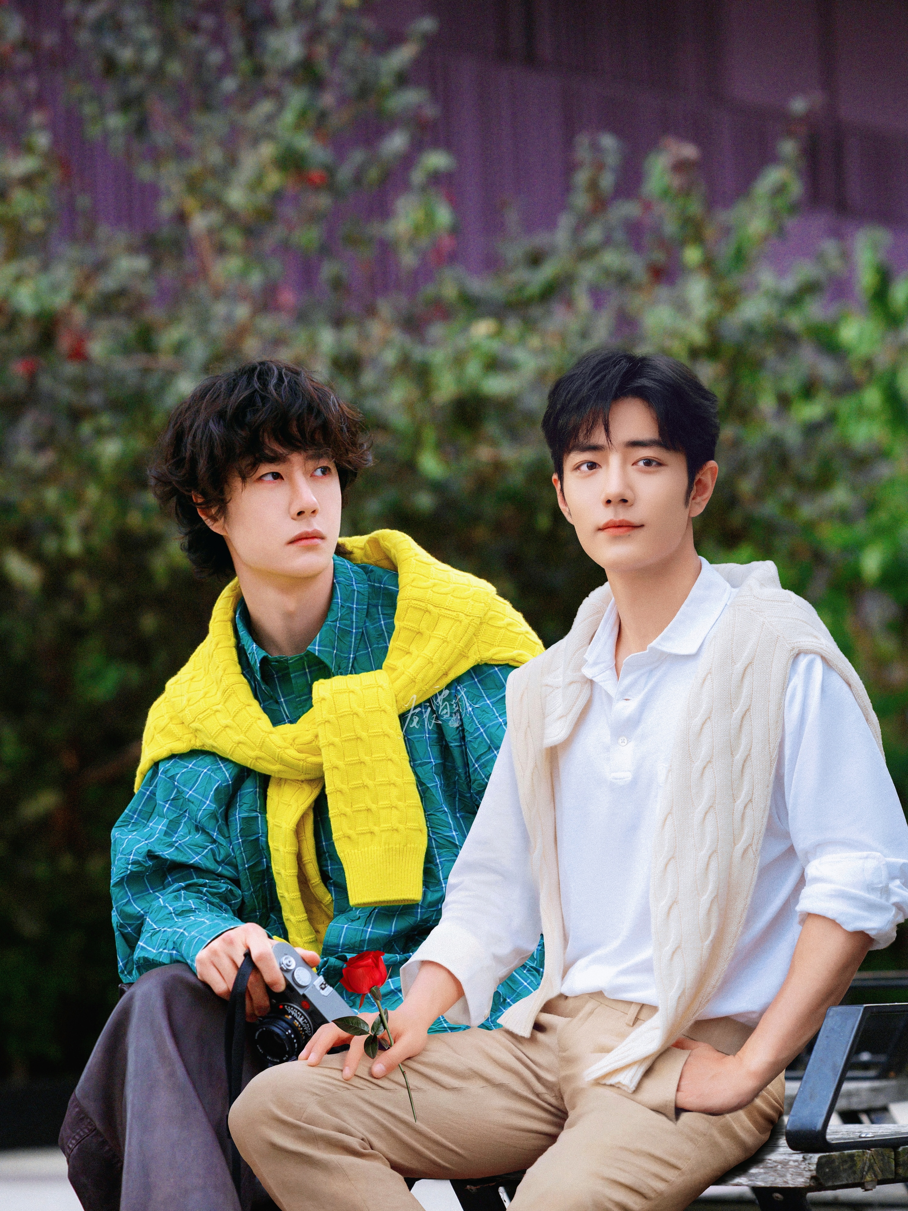 博君一肖 小王子🤴和他的玫瑰🌹取图留名[作揖] ​​​