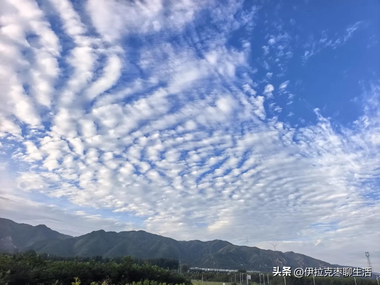 60年了，终于自律了一回[捂脸][捂脸][捂脸]

我这人向来比较懒惰，谁说我又